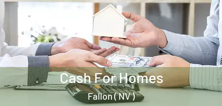  Cash For Homes Fallon ( NV )