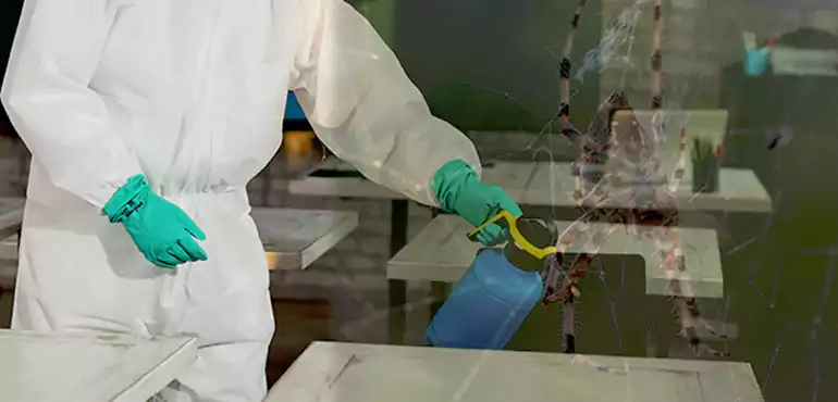 Why Buyers Still Want Homes With Pest Infestations in Winnemucca, NV?