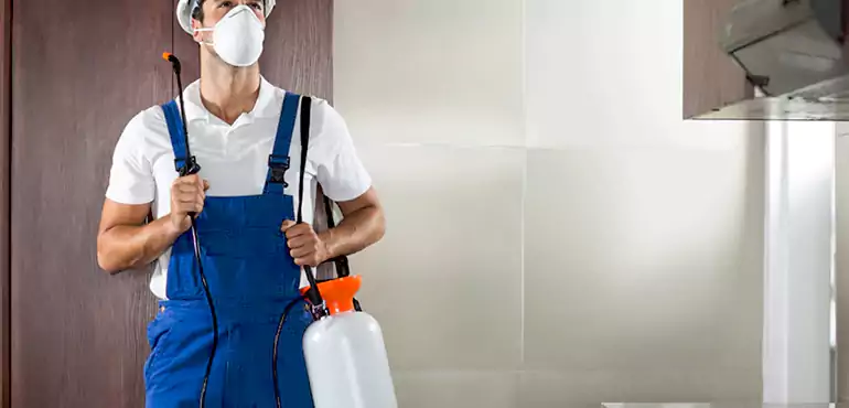 Why Winnemucca Homeowners Choose Us When Pests Make Selling Difficult