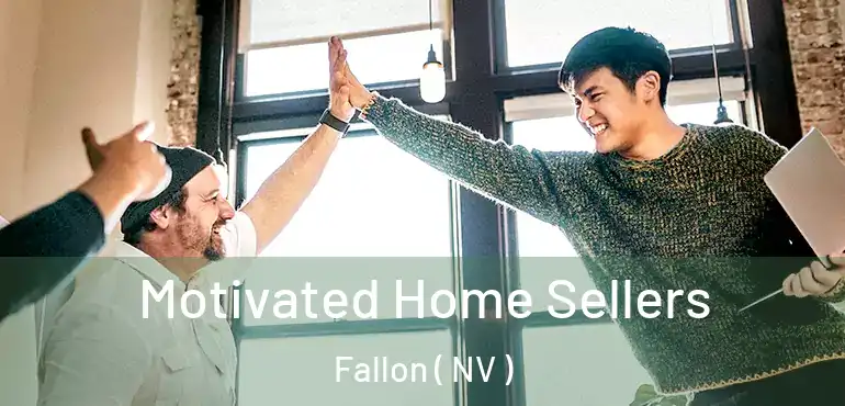  Motivated Home Sellers Fallon ( NV )