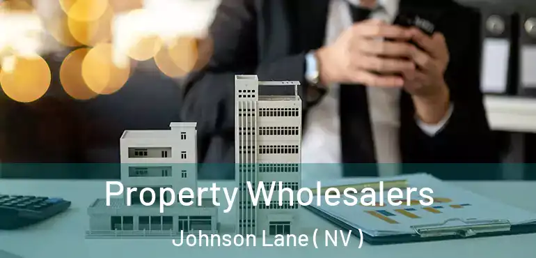  Property Wholesalers Johnson Lane ( NV )