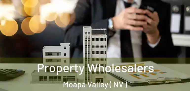 Property Wholesalers Moapa Valley ( NV )