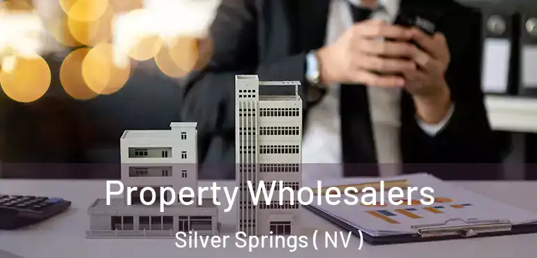  Property Wholesalers Silver Springs ( NV )