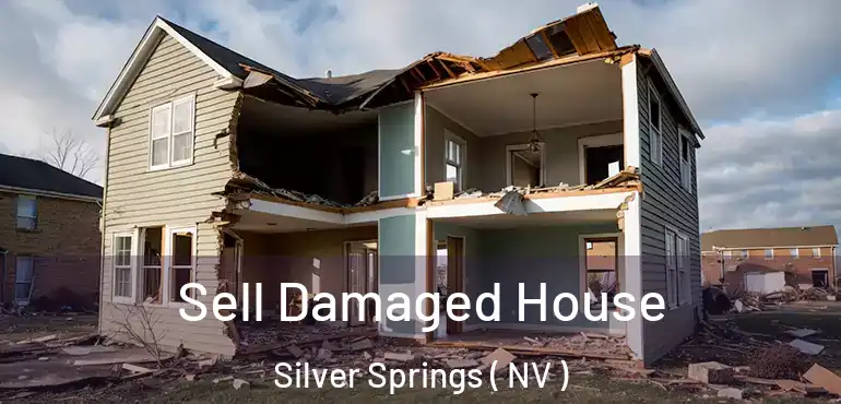  Sell Damaged House Silver Springs ( NV )