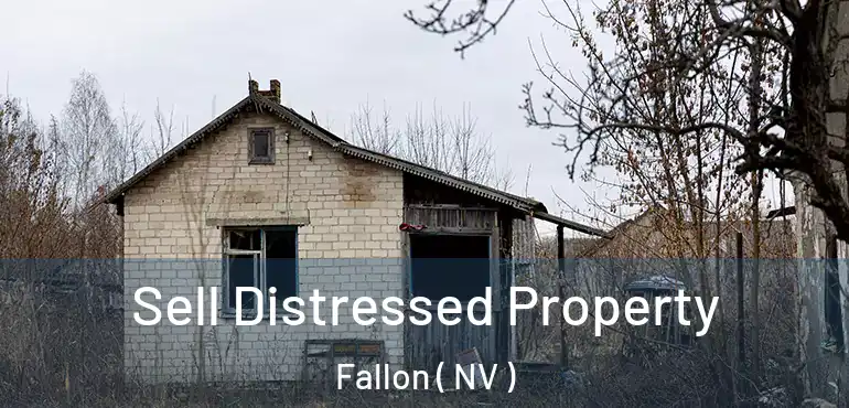  Sell Distressed Property Fallon ( NV )