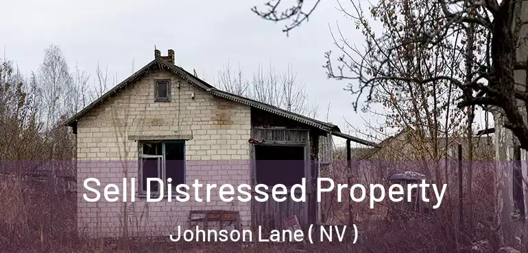  Sell Distressed Property Johnson Lane ( NV )