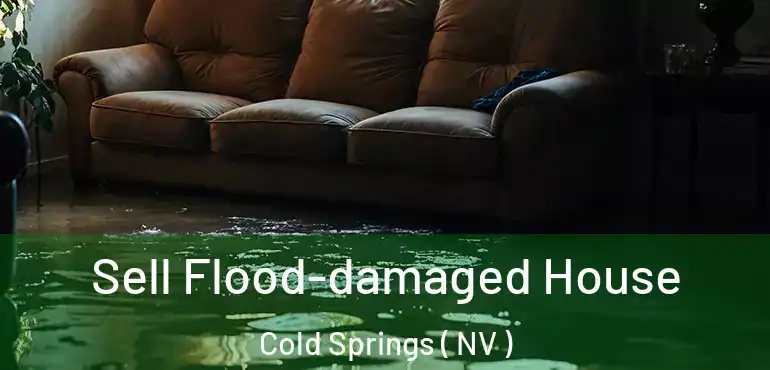  Sell Flood-damaged House Cold Springs ( NV )