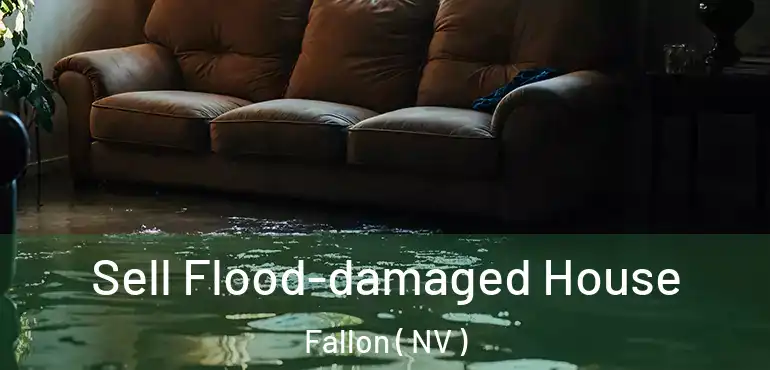  Sell Flood-damaged House Fallon ( NV )