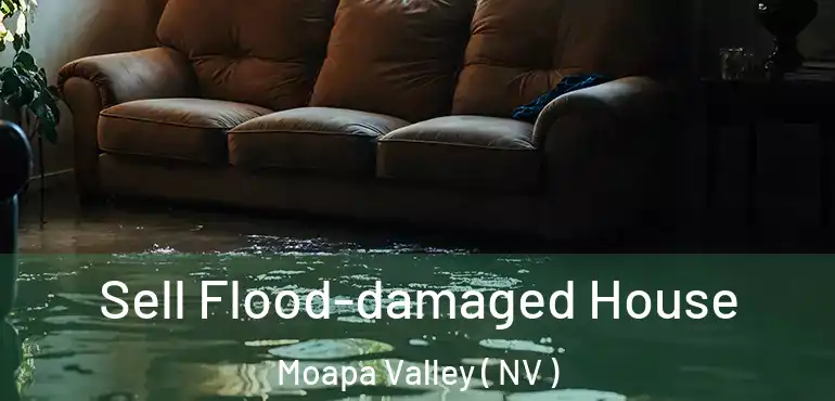  Sell Flood-damaged House Moapa Valley ( NV )