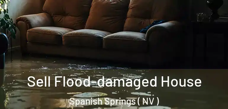  Sell Flood-damaged House Spanish Springs ( NV )
