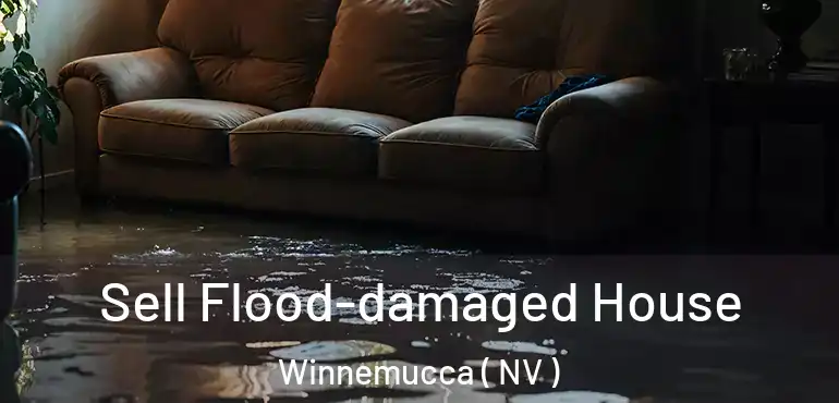  Sell Flood-damaged House Winnemucca ( NV )