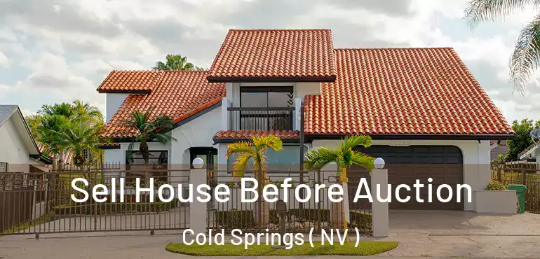  Sell House Before Auction Cold Springs ( NV )