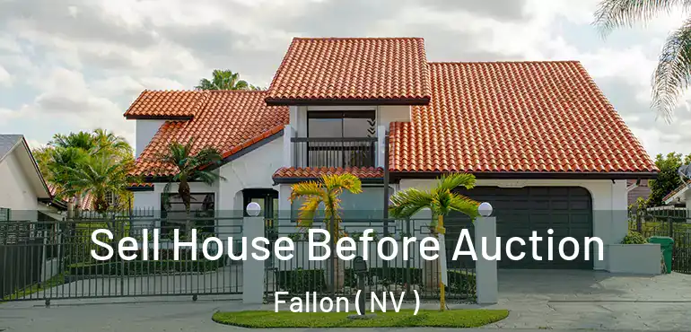  Sell House Before Auction Fallon ( NV )