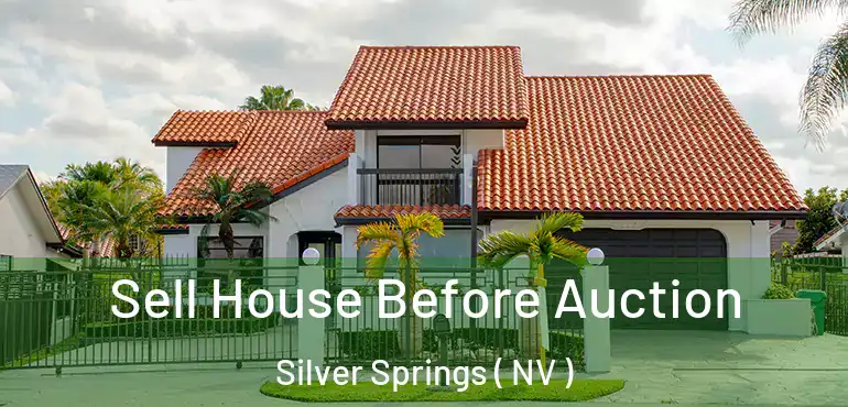  Sell House Before Auction Silver Springs ( NV )