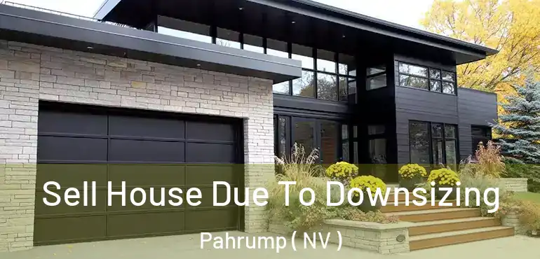  Sell House Due To Downsizing Pahrump ( NV )