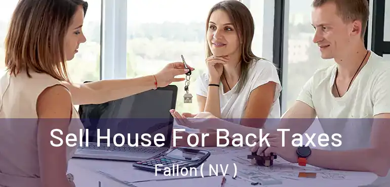  Sell House For Back Taxes Fallon ( NV )