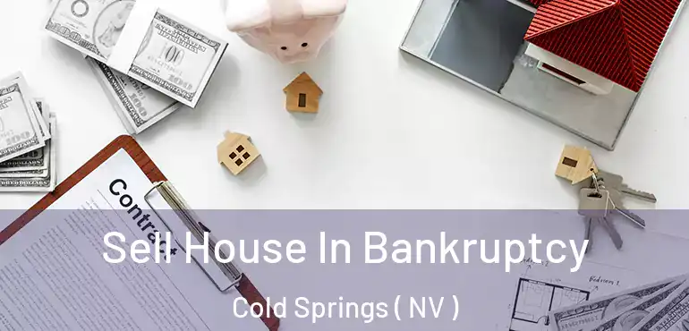  Sell House In Bankruptcy Cold Springs ( NV )