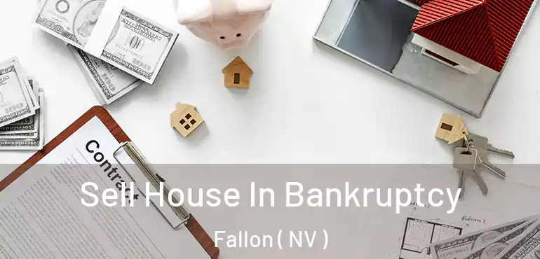  Sell House In Bankruptcy Fallon ( NV )