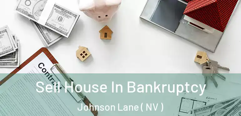  Sell House In Bankruptcy Johnson Lane ( NV )