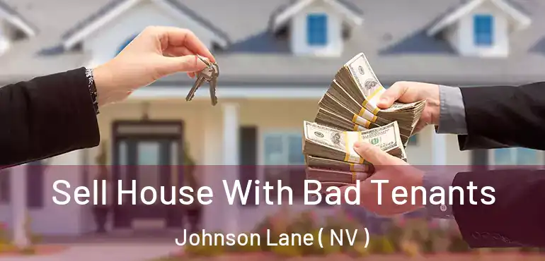  Sell House With Bad Tenants Johnson Lane ( NV )