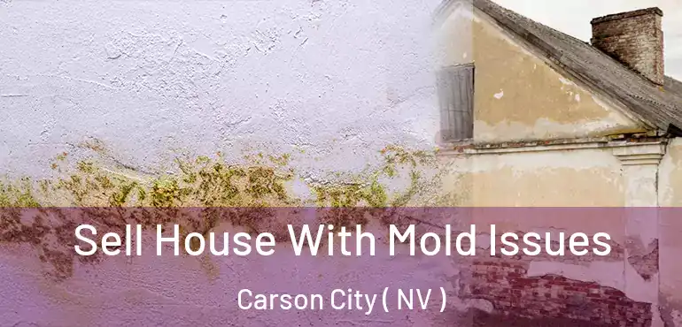  Sell House With Mold Issues Carson City ( NV )