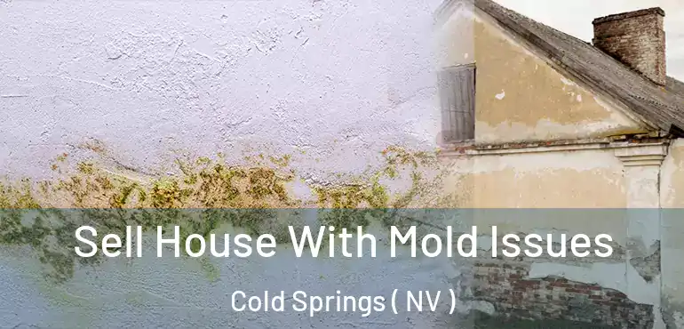  Sell House With Mold Issues Cold Springs ( NV )