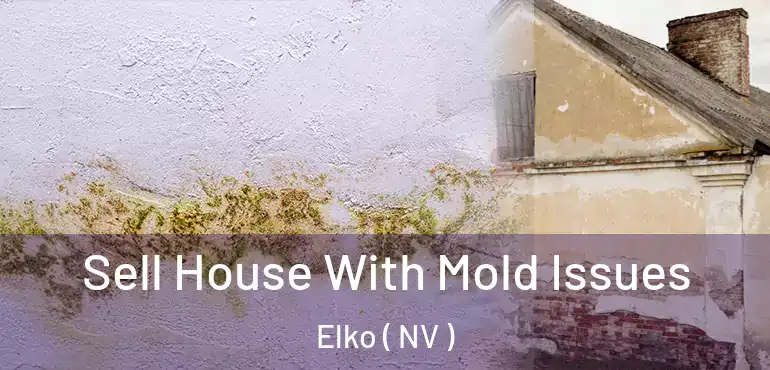  Sell House With Mold Issues Elko ( NV )