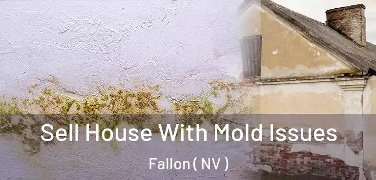  Sell House With Mold Issues Fallon ( NV )