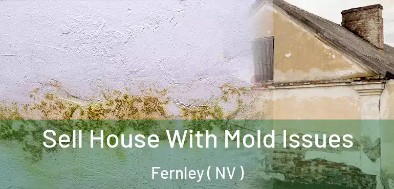  Sell House With Mold Issues Fernley ( NV )