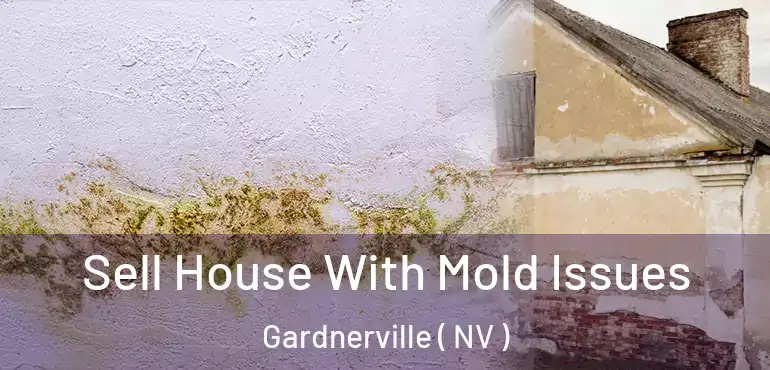  Sell House With Mold Issues Gardnerville ( NV )