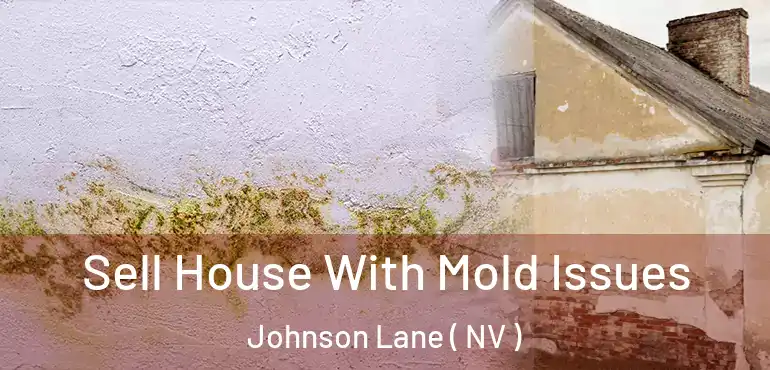  Sell House With Mold Issues Johnson Lane ( NV )