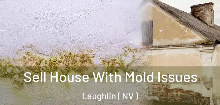  Sell House With Mold Issues Laughlin ( NV )