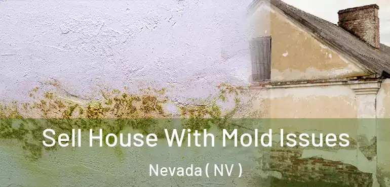  Sell House With Mold Issues Nevada ( NV )