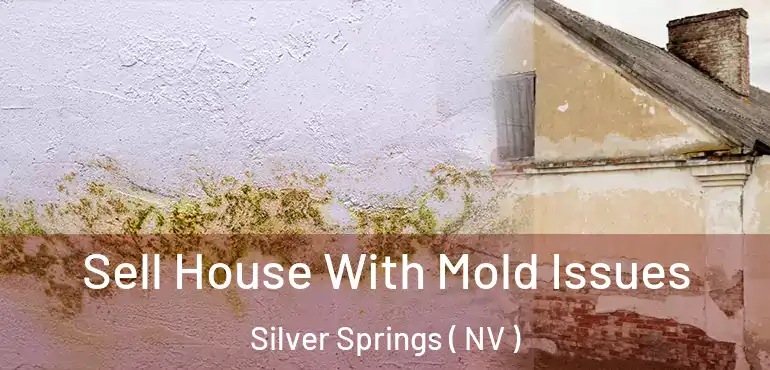  Sell House With Mold Issues Silver Springs ( NV )