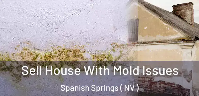  Sell House With Mold Issues Spanish Springs ( NV )
