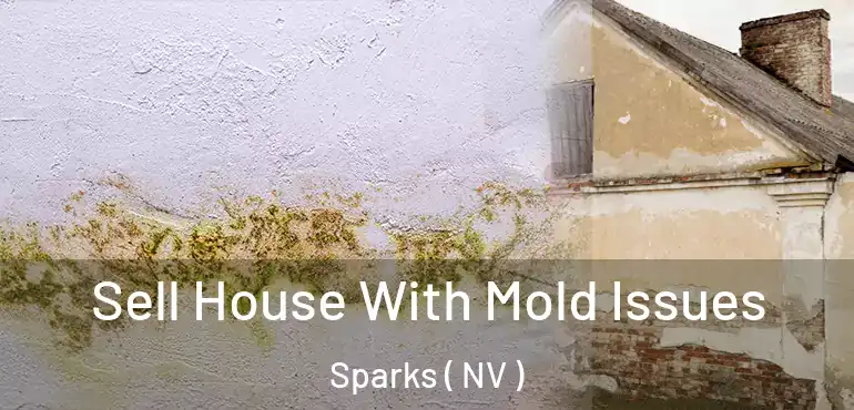  Sell House With Mold Issues Sparks ( NV )
