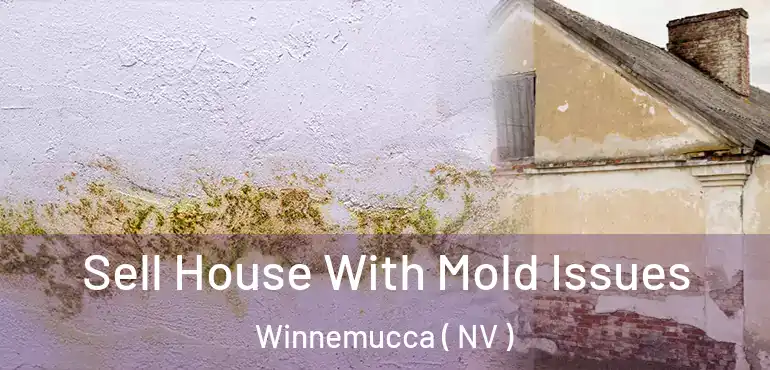  Sell House With Mold Issues Winnemucca ( NV )