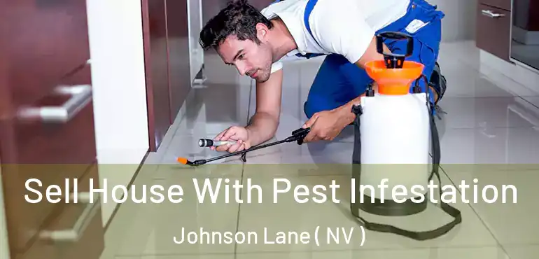  Sell House With Pest Infestation Johnson Lane ( NV )