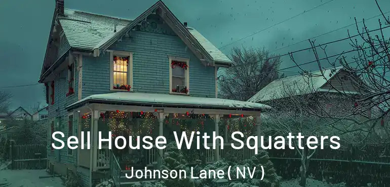  Sell House With Squatters Johnson Lane ( NV )