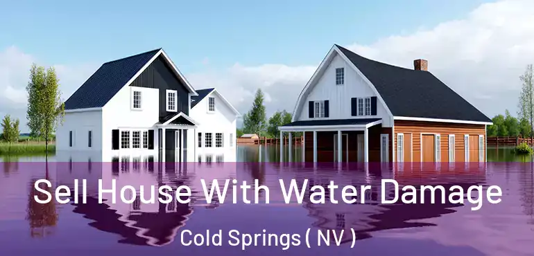 Sell House With Water Damage Cold Springs ( NV )