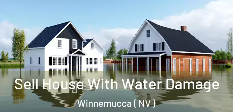  Sell House With Water Damage Winnemucca ( NV )