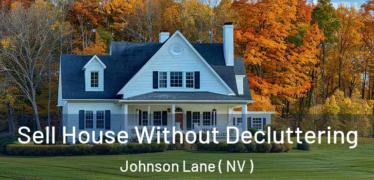  Sell House Without Decluttering Johnson Lane ( NV )