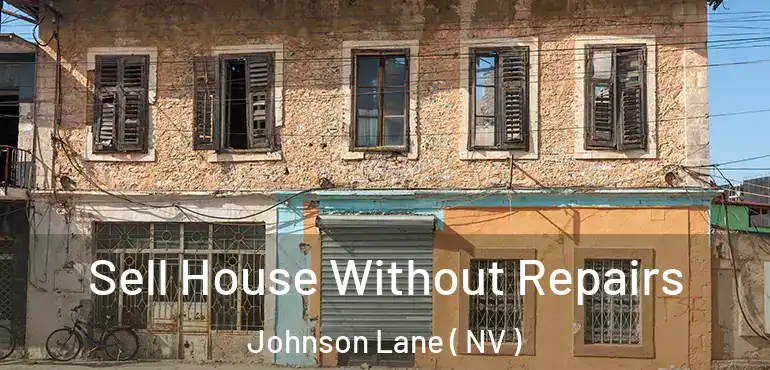  Sell House Without Repairs Johnson Lane ( NV )