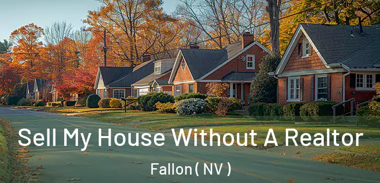  Sell My House Without A Realtor Fallon ( NV )