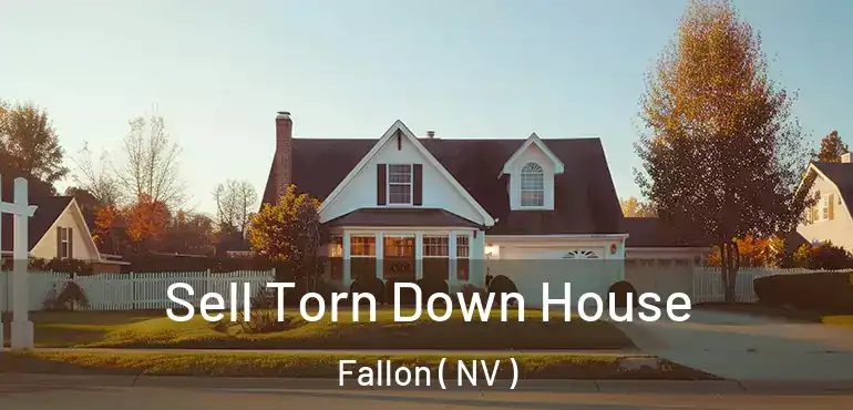  Sell Torn Down House Fallon ( NV )