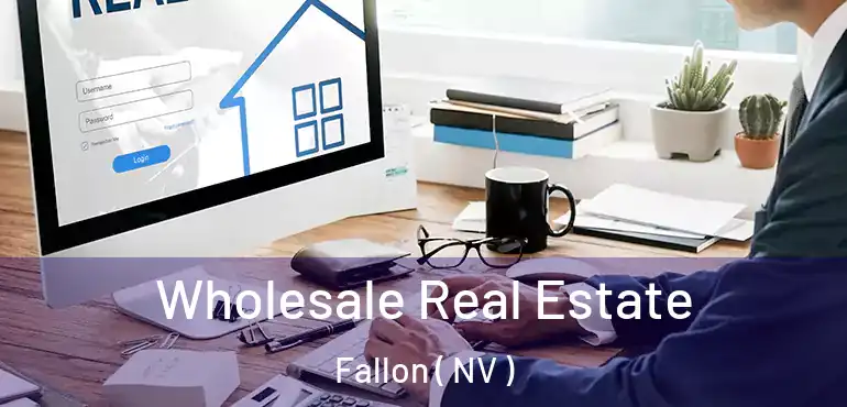  Wholesale Real Estate Fallon ( NV )